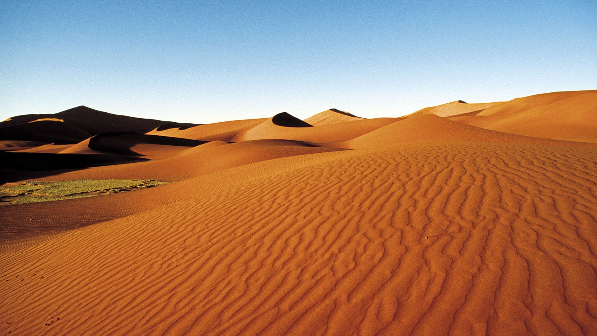 Weite rote Sanddünen der Namib-Wüste bei Sossusvlei unter klarem blauem Himmel in Namibia.