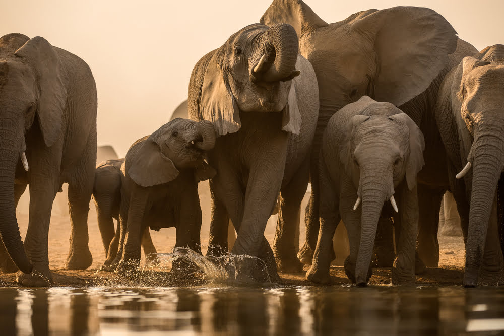 Maßgeschneiderte Luxusreisen nach Südafrika, Namibia, Botswana & mehr.