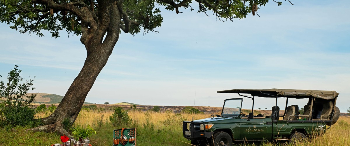 Safari-Fahrzeug neben einem gedeckten Picknickplatz unter einem Baum in der afrikanischen Savanne