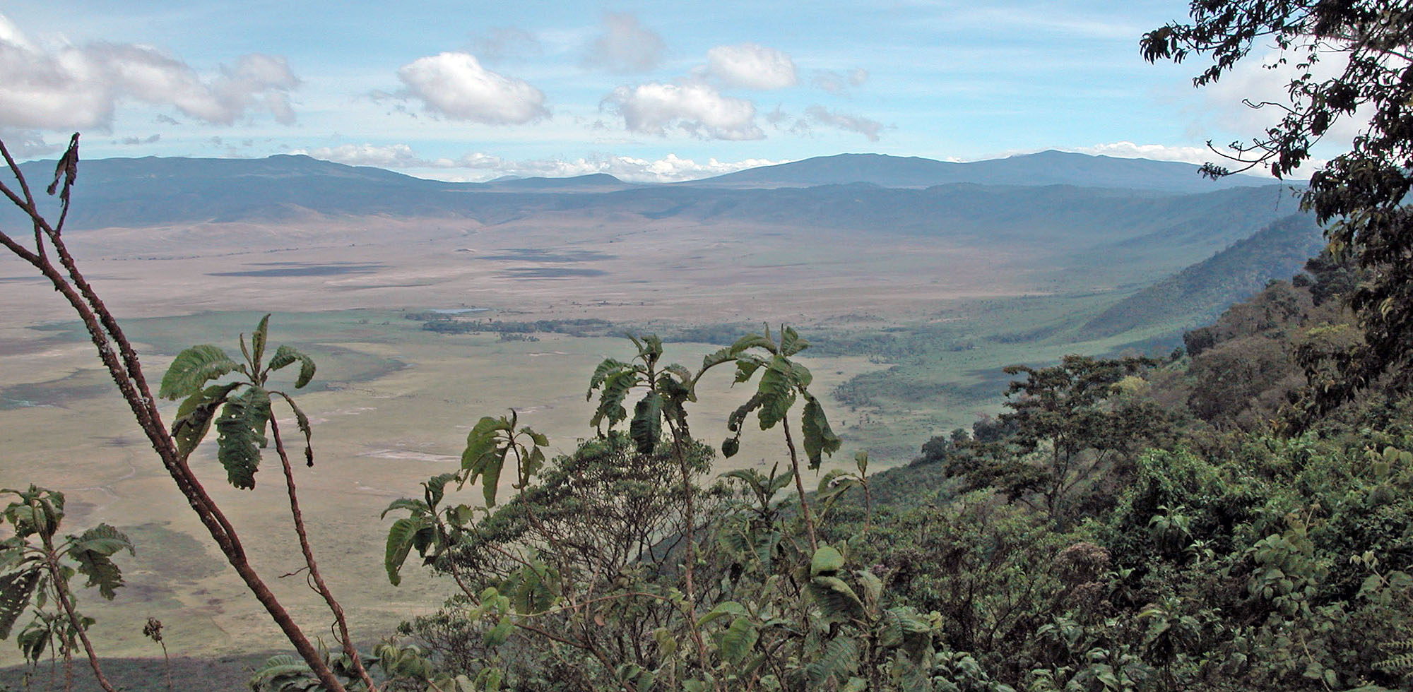 Ngorongoro Krater Luxus Safari Tansania