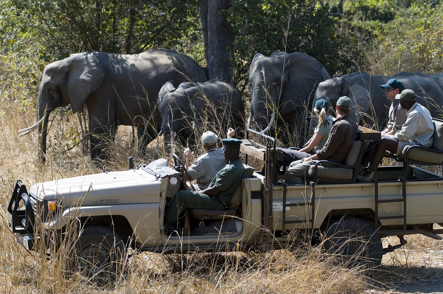 Safari-Fahrzeug mit Reisenden bei der Beobachtung einer Elefantenherde im trockenen Buschland des Lower Zambezi Nationalparks.