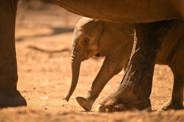 Namibia im Fluge
