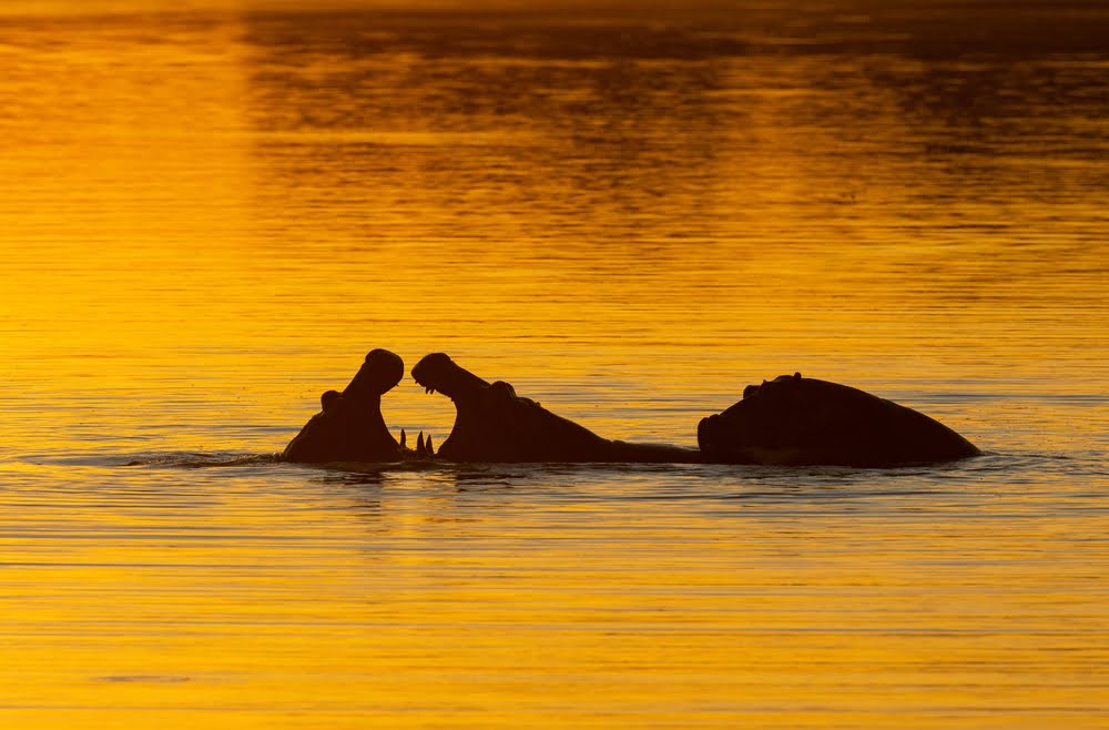 Mana Pools Nationalpark