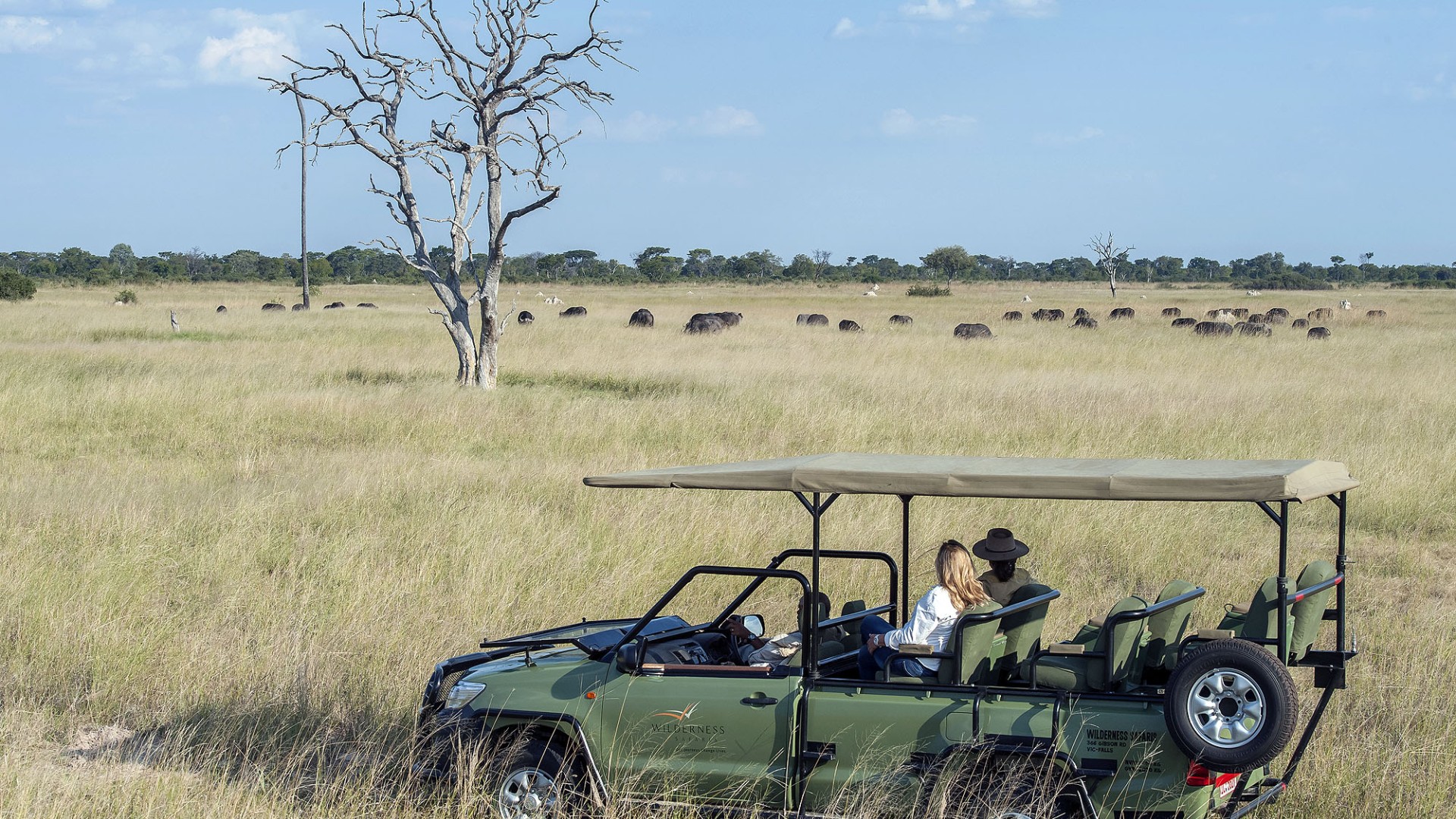 Safari-Gäste beobachten während einer Pirschfahrt eine Herde Büffel in der weiten afrikanischen Savannenlandschaft.