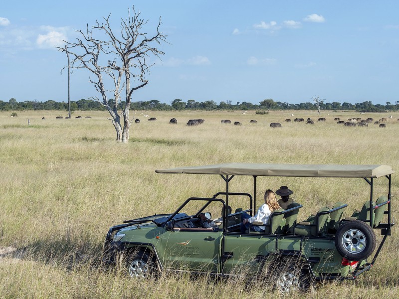 Safari-Gäste beobachten während einer Pirschfahrt eine Herde Büffel in der weiten afrikanischen Savannenlandschaft.