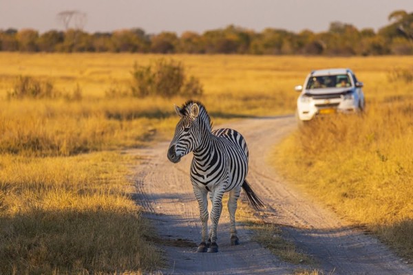 Best of Tanzania