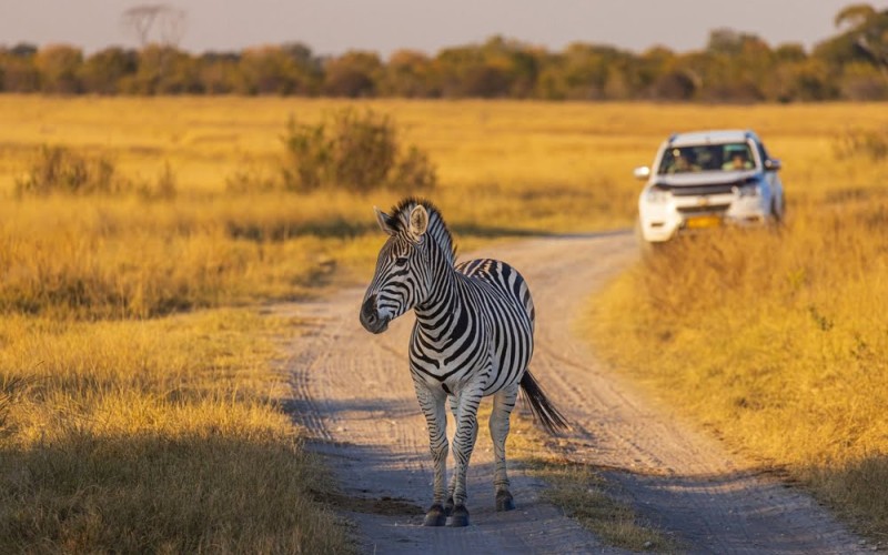 Best of Tanzania